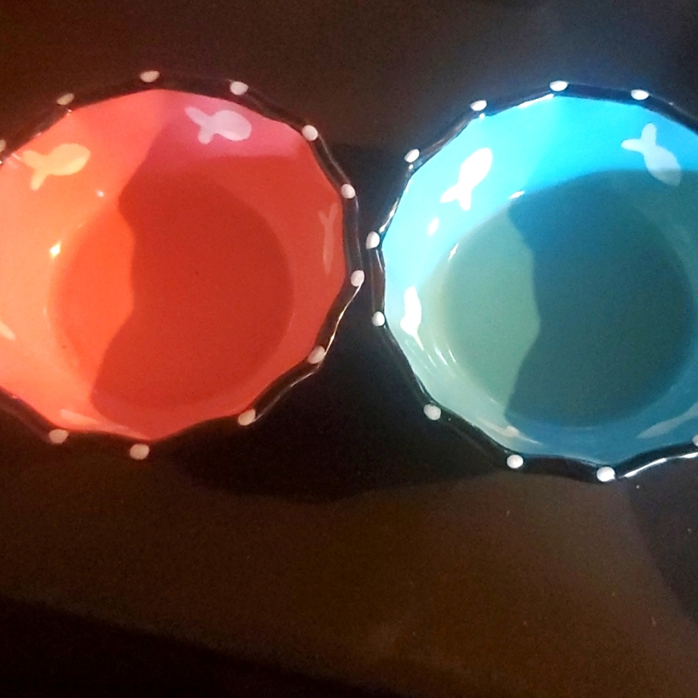 Water and food cat bowls